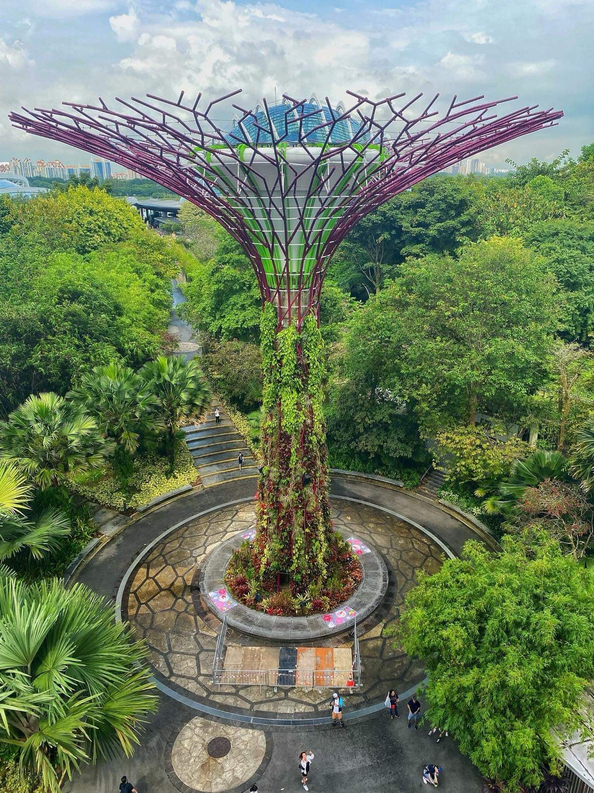 Elevating Perspectives: The multilevel significance  of Supertree Observatory in Singapore